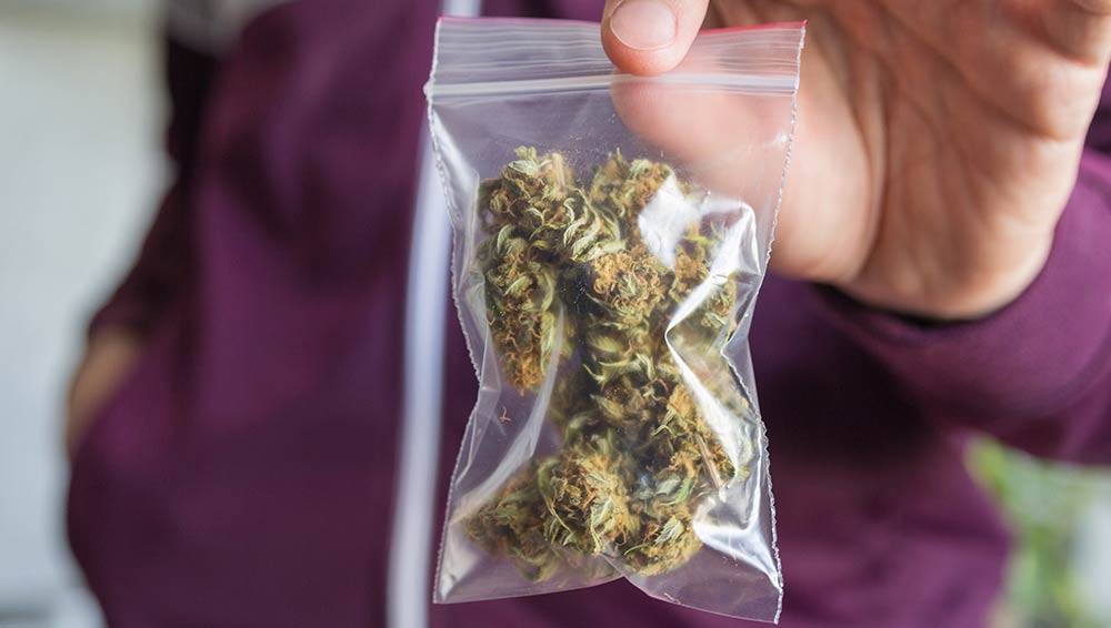 holding cannabis bag