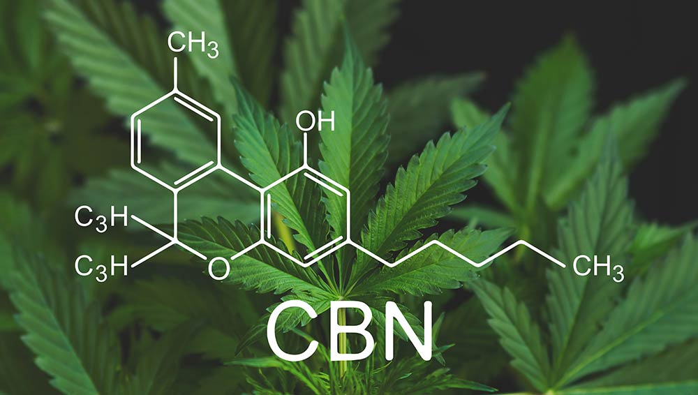 cbn graph with cannabis leaf