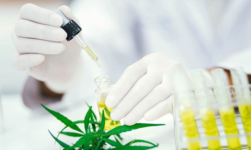 cannabis testing labs