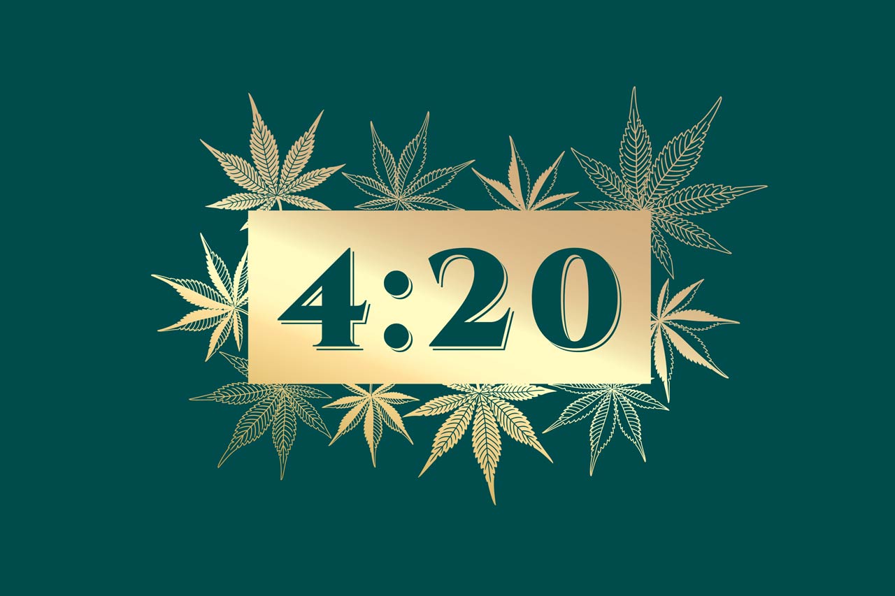 420 bwith green backdrop