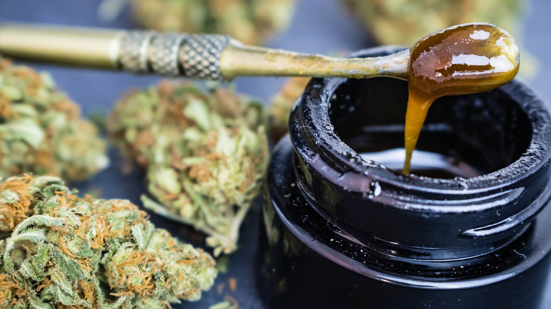 cannabis concentrate in honey jar