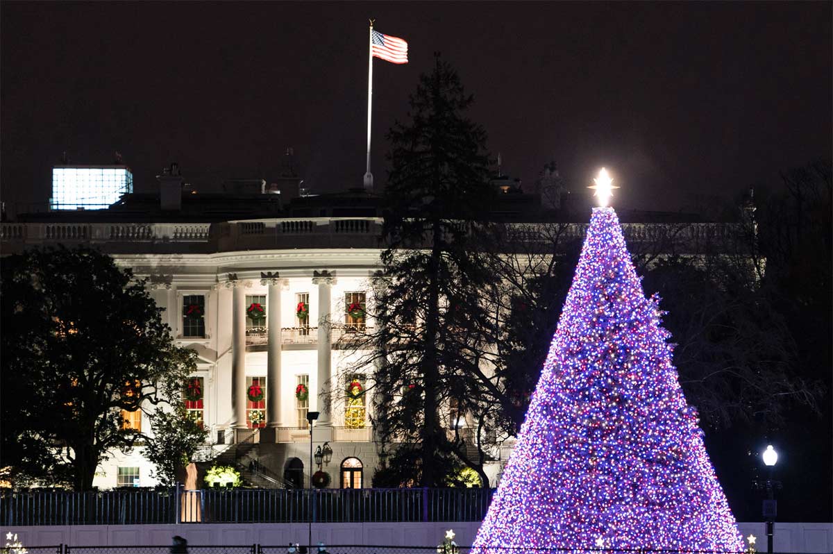 christmas tree outside the white house