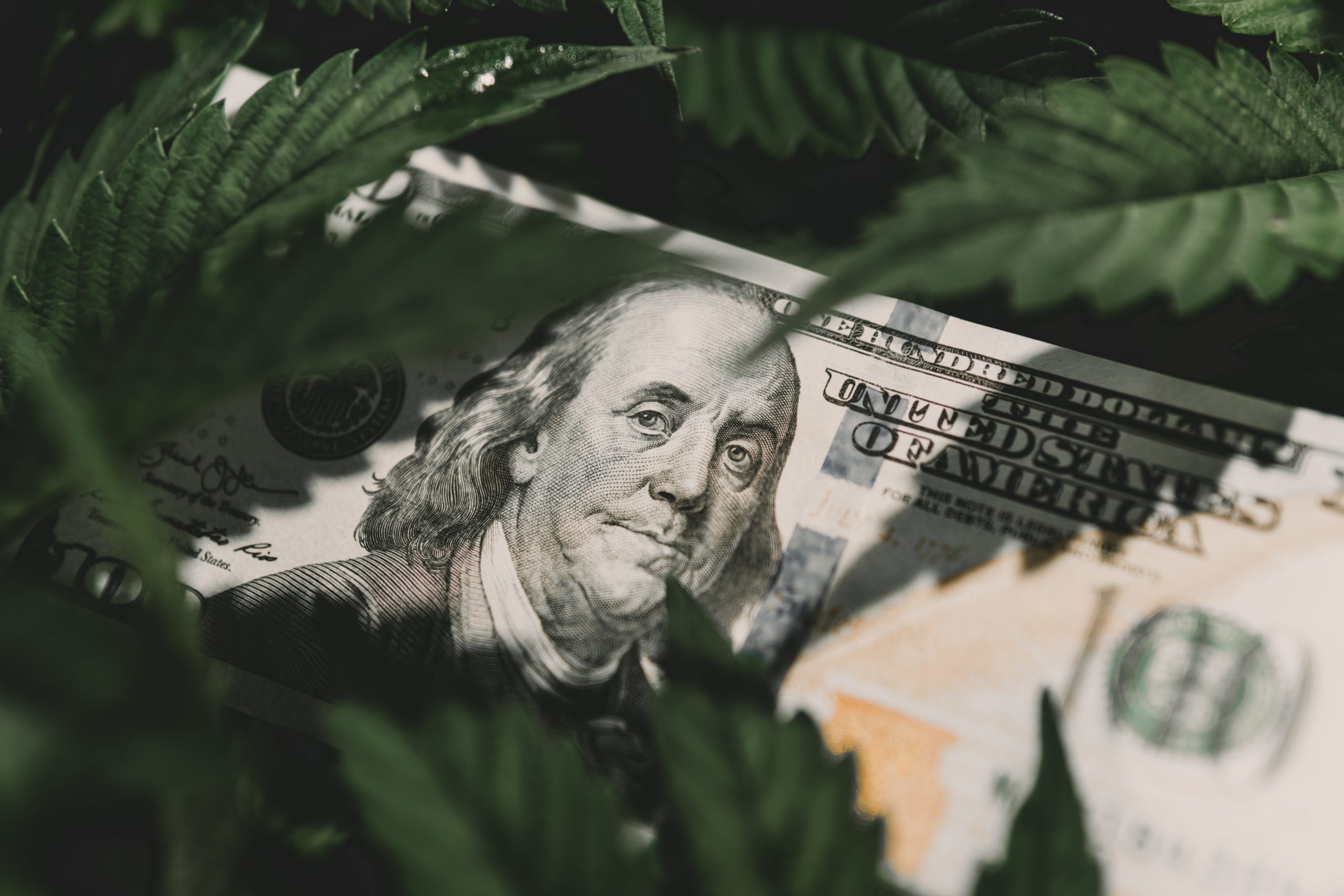 American dollar bill on cannabis leaves. Taxation and marijuana. The economy of hemp industry. Tax on weed. Money and pot. Cannabis finance. Revenues in the marijuana industry and the medical industry.